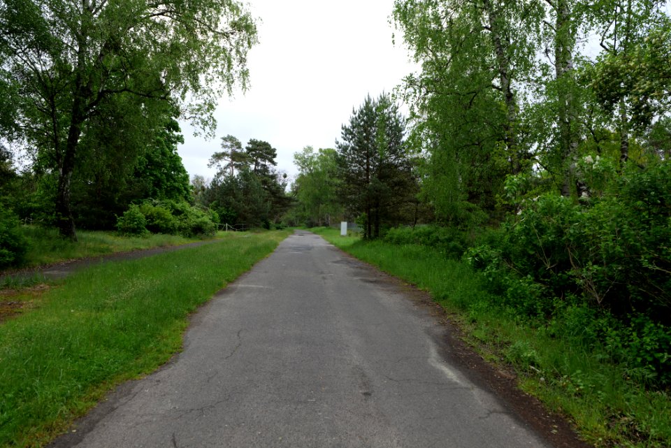 Himmelpforter Landstraße Fürstenberg Havel 2021-05-29 03