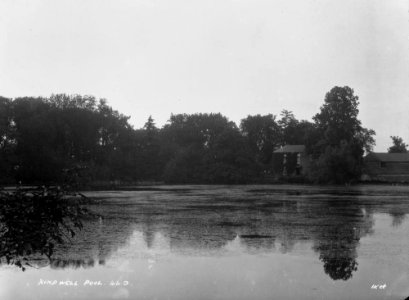 Hindwell pool (1294414)