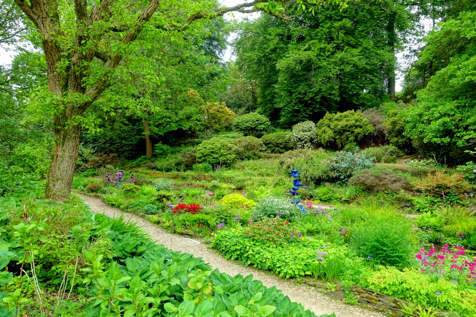 Hillier Gardens - Romsey, Hampshire, England - DSC05003