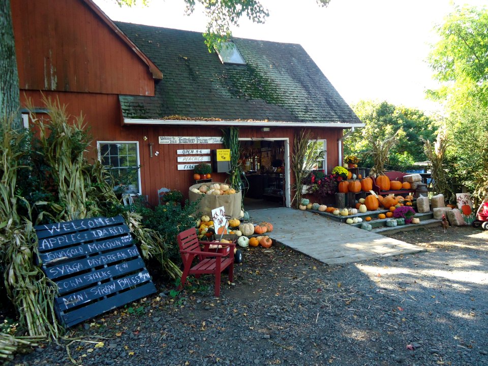 Hillview Farms sales office with pumpkins in October