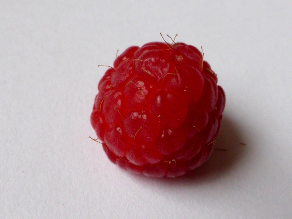 Himbeere-1