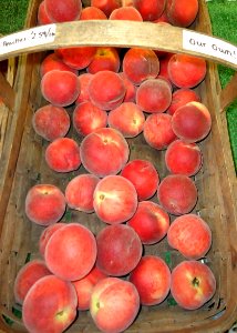 Hillview Farms peaches in a basket