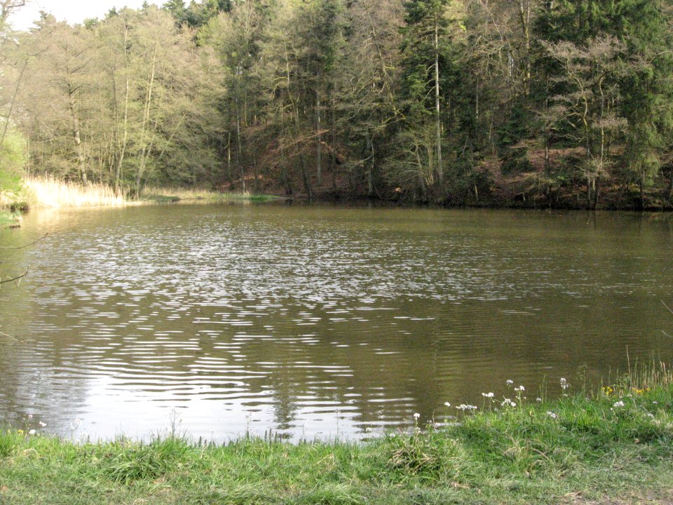 Hinterer Schenkensee von NW