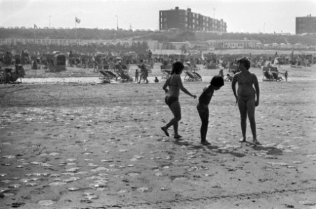 Hittegolf, grote hoeveelheden kwallen opstrand (Zandvoort), Bestanddeelnr 928-6675