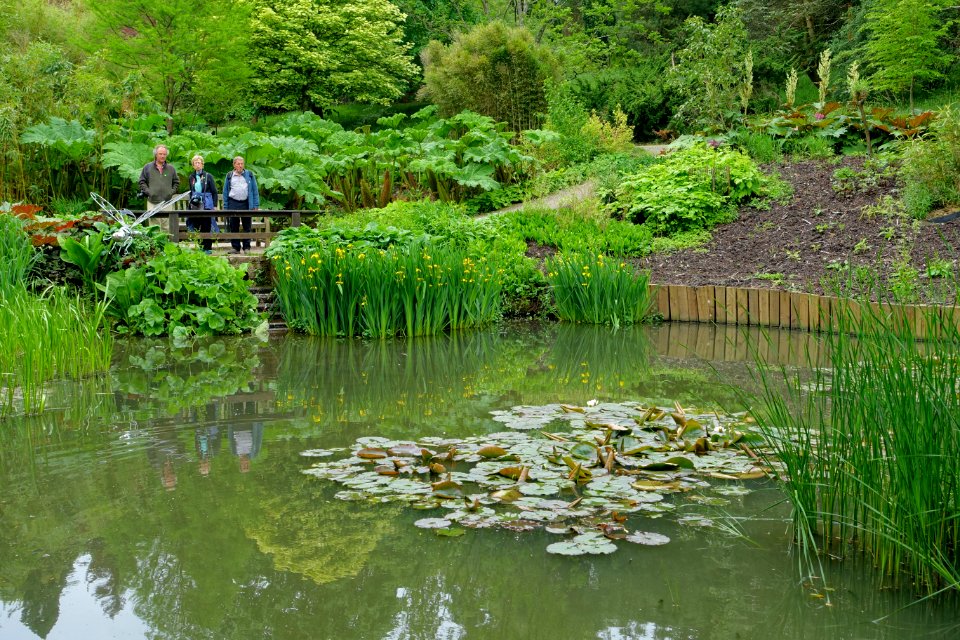 Hillier Gardens - Romsey, Hampshire, England - DSC05019