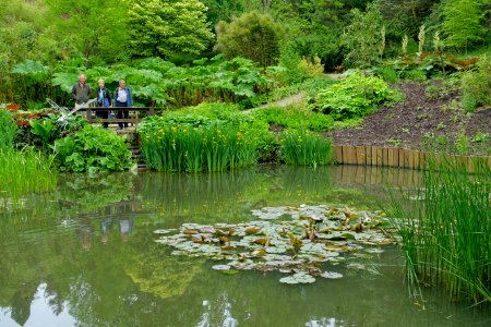 Hillier Gardens - Romsey, Hampshire, England - DSC05019