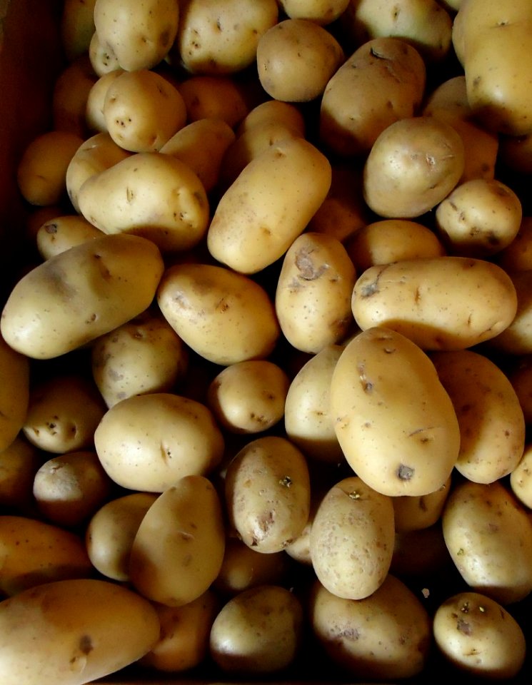 Hillview Farms white potatoes
