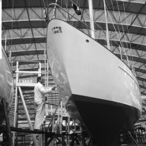 Hiswa 1966, in de RAI, Bestanddeelnr 918-9204