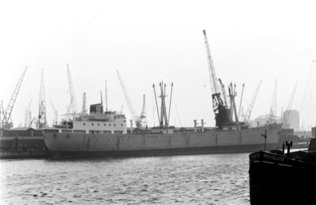 Het Noorse schip Forra (kerstschip voor Biafra) in Amsterdamse haven, opdracht P, Bestanddeelnr 921-9624