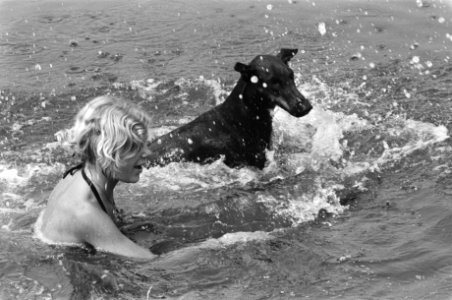 Hittegolf, mens en dier in het water, Bestanddeelnr 928-6632