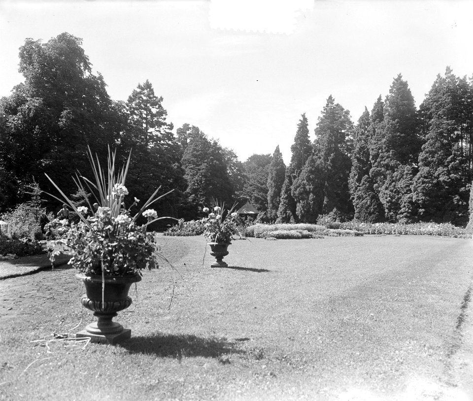 Het Loo in bloemenpracht, Bestanddeelnr 905-2625