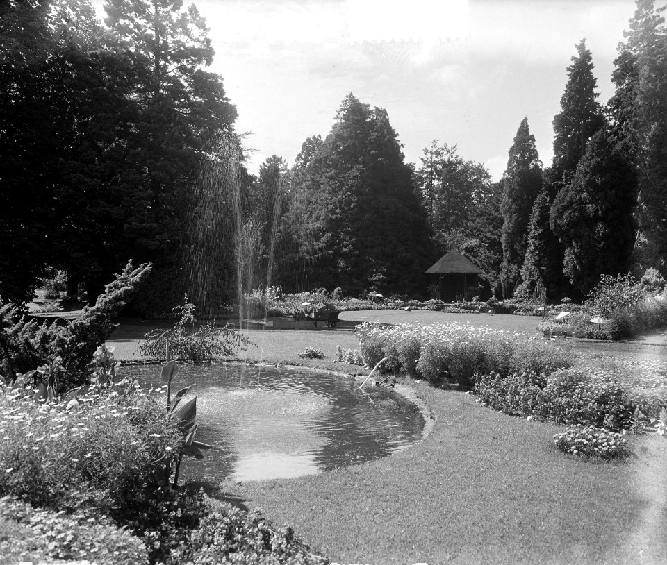 Het Loo in bloemenpracht, Bestanddeelnr 905-2622
