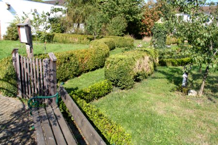 Historischer Pfarrgarten Meckenheim Lüftelberg (8)