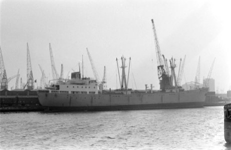 Het Noorse schip Forra (kerstschip voor Biafra) in Amsterdamse haven, opdracht P, Bestanddeelnr 921-9625
