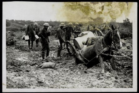 Het Westelijk front. Soldaten trachten een in de modder weggezakt paard te bevri, Bestanddeelnr 158-0821