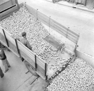 Het lossen van een vrachtwagen met citrusfruit bij de citrussapfabriek Assis aan, Bestanddeelnr 255-1244