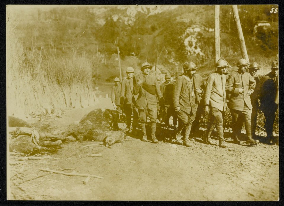 Het wegvoeren van de gevangen genomen Italiaansche officieren langs den straatwe, Bestanddeelnr 158-1617