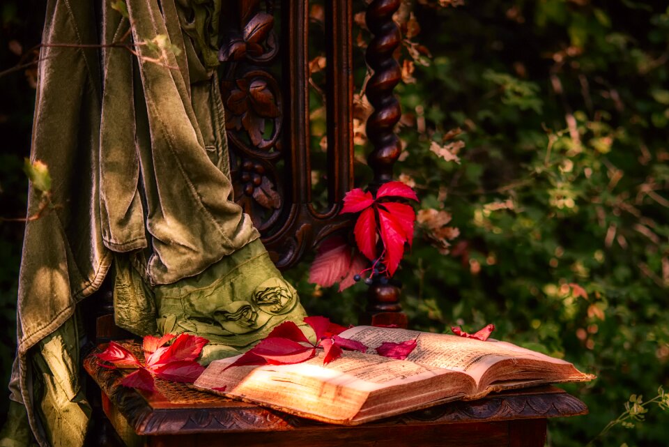 Book chair vine leaves