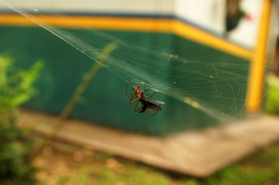 Finlandia quindio colombia