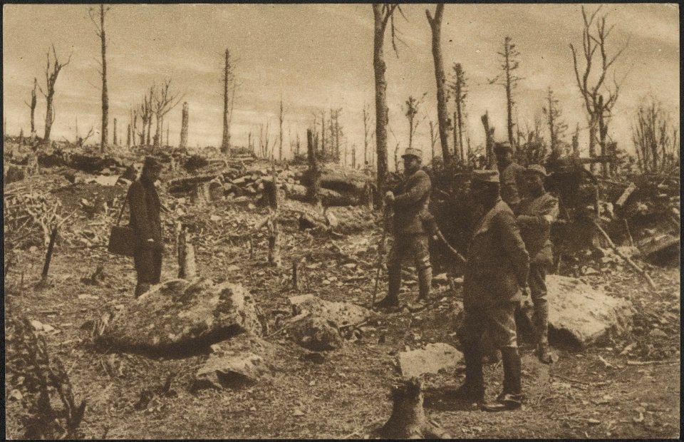 Het woud op den kruin van den Hartmannswillerkopf (de Vieil Armand 936) door de , Bestanddeelnr 158-1889