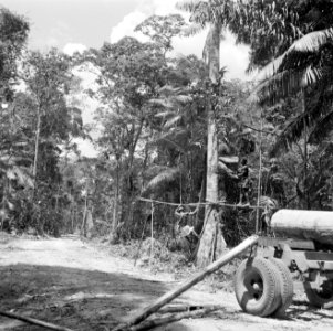 Het zagen van bomen, Bestanddeelnr 252-4812