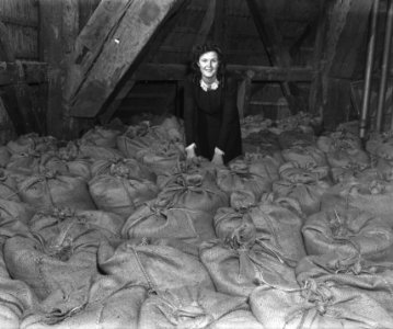 Het werk in de molen De Gooyer aan de Funenkade te Amsterdam, Bestanddeelnr 901-4333