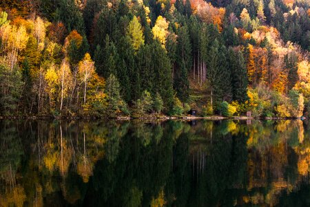 Nature landscape autumn