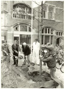 Het planten van een plataan door wethouder Sikma op het Stationsplein. NL-HlmNHA 54031521