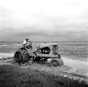 Het ploegen van de sawa in de Nickeriepolder, Bestanddeelnr 252-5594