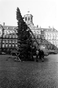 Het plaatsen van een grote kerstboom voor het paleis op de Dam te Amsterdam, Bestanddeelnr 930-5732