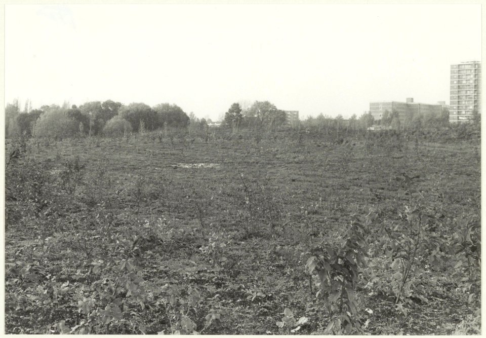 Het oude Reinaldapark