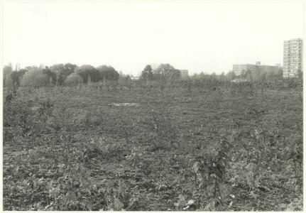 Het oude Reinaldapark