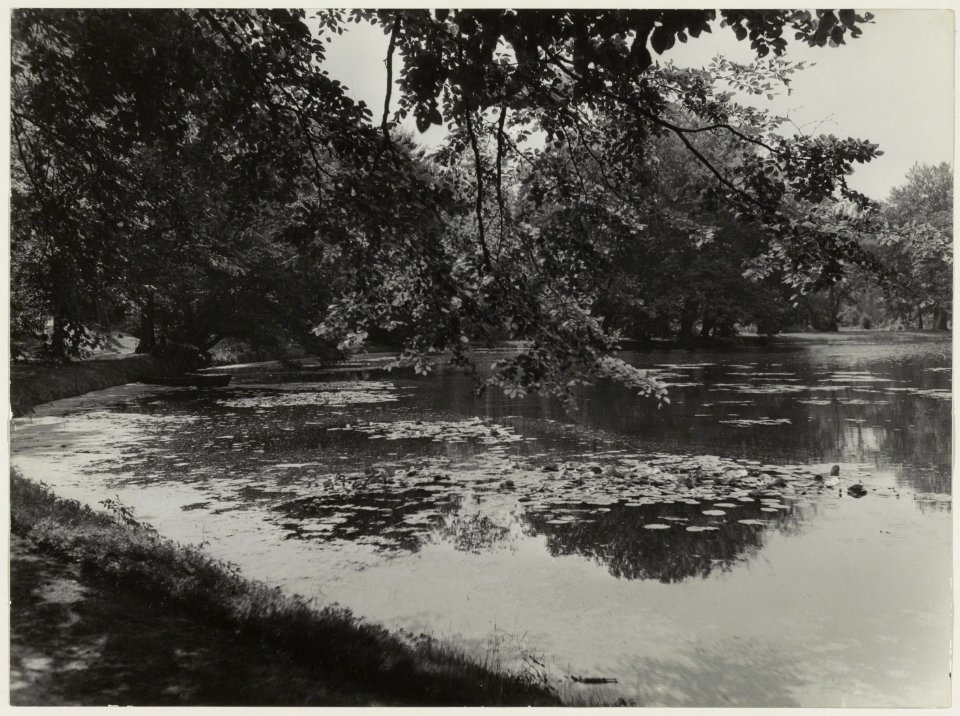 Het water bij de vroegere uitkijktoren Belvedere in Groenendaal. NL-HlmNHA 54014992