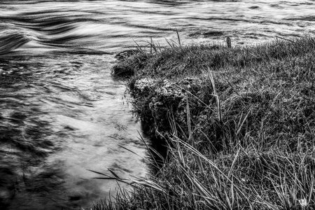 Grasses bank wave