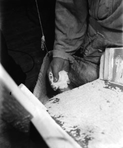 Het werk in de molen De Gooyer aan de Funenkade te Amsterdam, Bestanddeelnr 901-4337