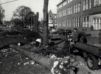 Het rooien van bomen op de Zijlvest, ziende naar het Noorden. Aangekocht in 1977 van fotograaf C. de Boer. Identificatienummer 54-010620, NL-HlmNHA 1478 25900 K 38