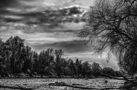 Nature mood black white photo