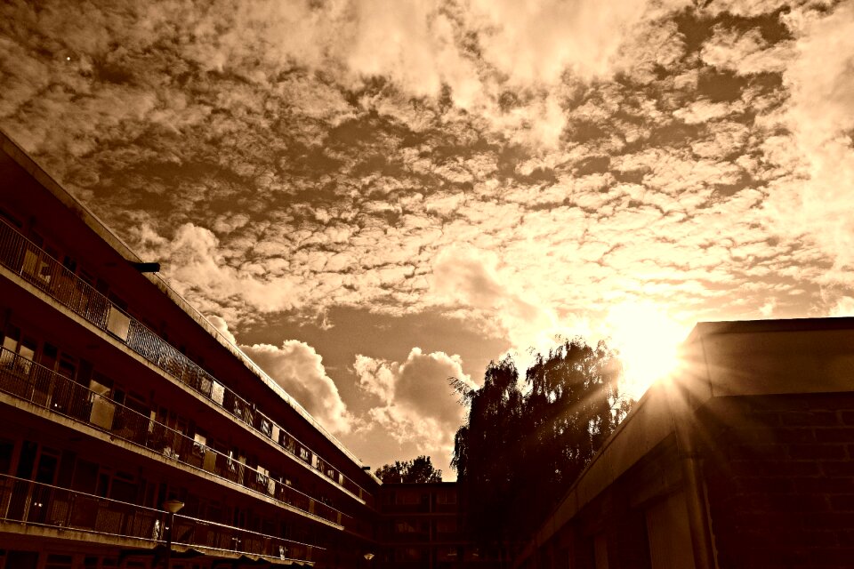 Evening sky clouds sky summer