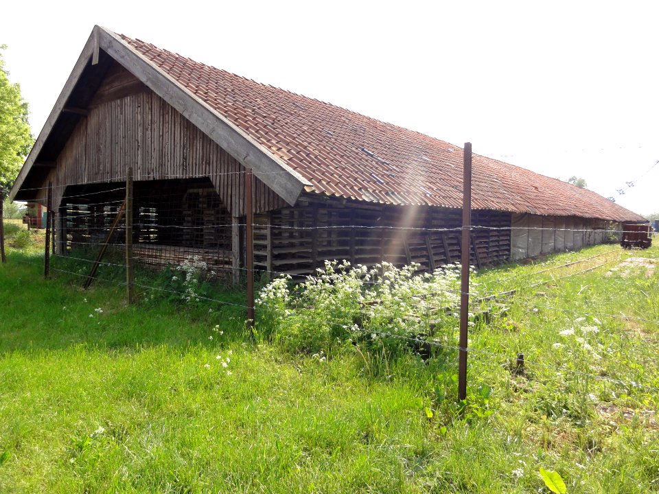 Heteren Rijksmonument 521807 noordelijke droogschuur steenfabriek Randwijk (2)