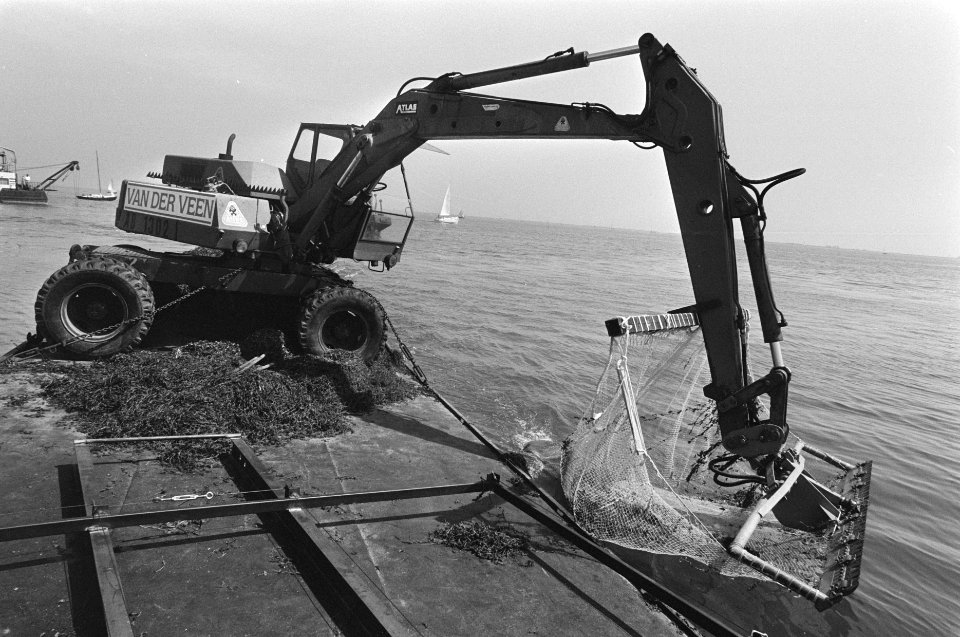 Het maaien van fonteinkruid op de Gouwzee, Bestanddeelnr 934-0275