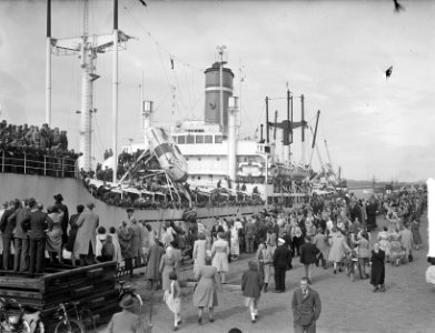 Het schip Groote Beer in IJmuiden, Bestanddeelnr 903-4194