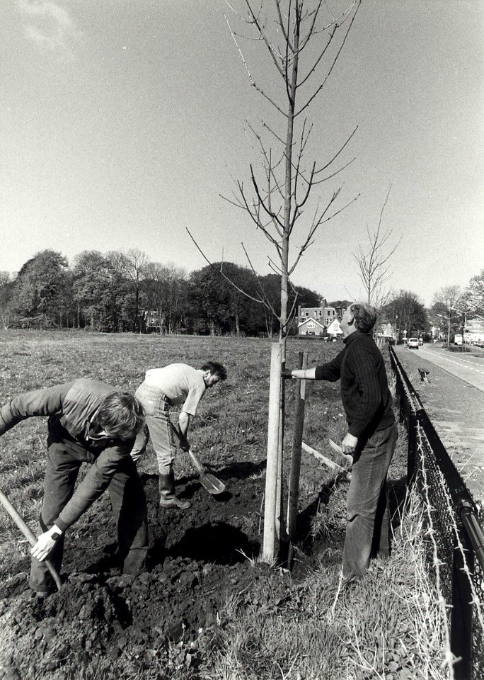 Het planten van 41 Essen aan de Kleverlaan. Aangekocht van United Photos de Boer bv. - gepubliceerd in het Haarlems Dagblad dd. 28-04-90. Identificatienummer 54-031368