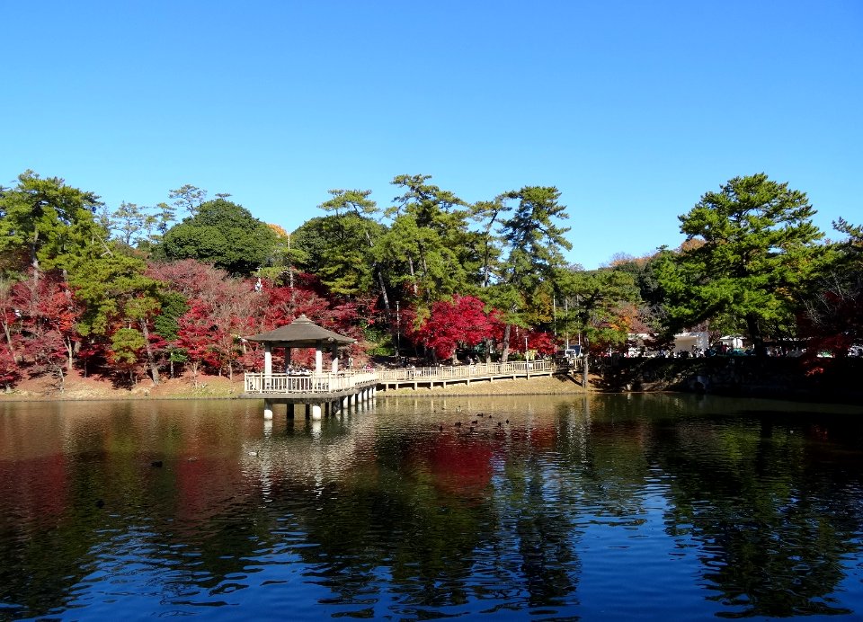 Higashi-Park-Ashinobeike-1