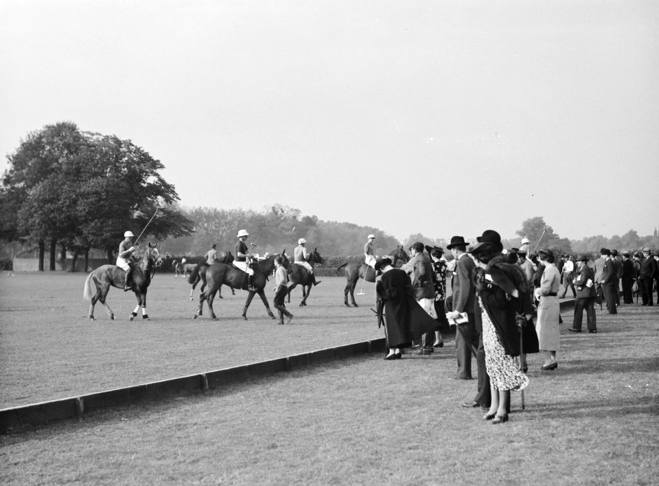 Het publiek in het park kijkt naar de polowedstrijd, Bestanddeelnr 255-8693