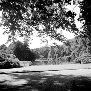 Het park achter het paleis met de vijver, Bestanddeelnr 255-7911