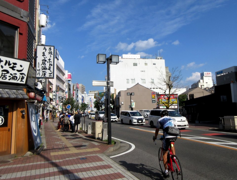 Higashiokazakiekimae-Dori-6