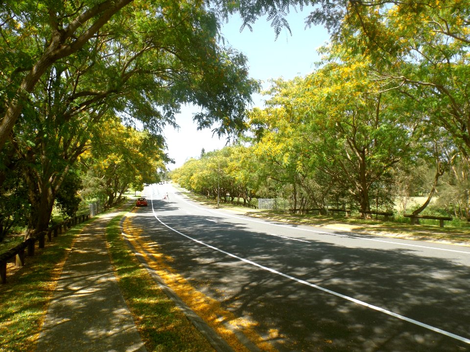 Hickey Way Carrara, Queensland