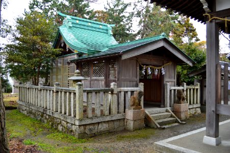 Hie-Omikumari-jinja, honden