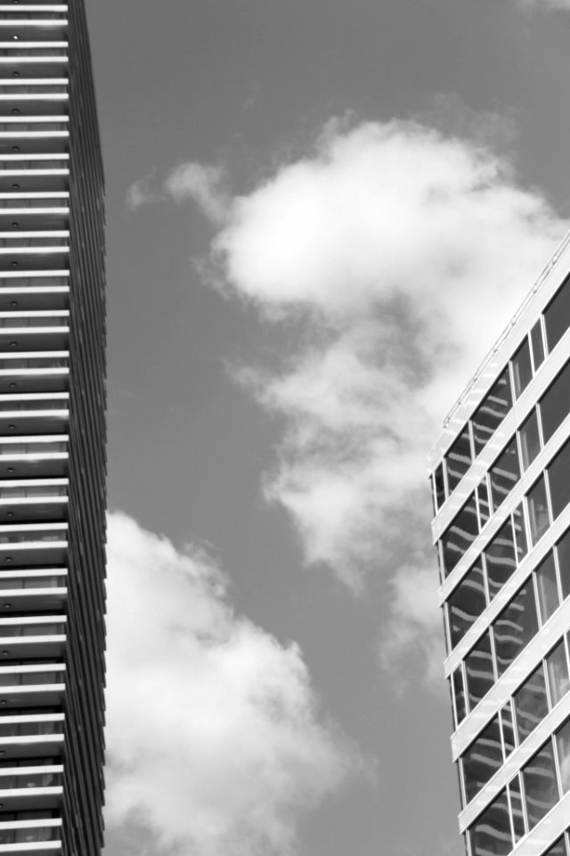 High Rise (31584895)