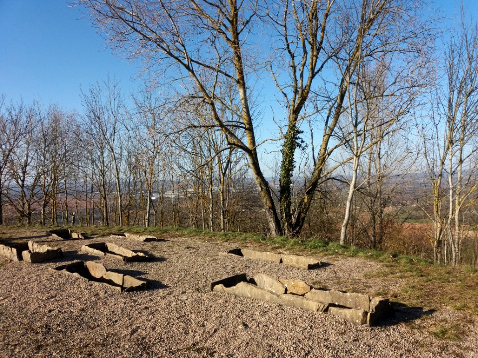 Hières-sur-Amby - Site de Larina - Nécropole de La Motte